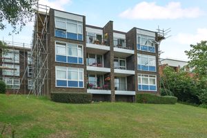 Photo 3- click for photo gallery